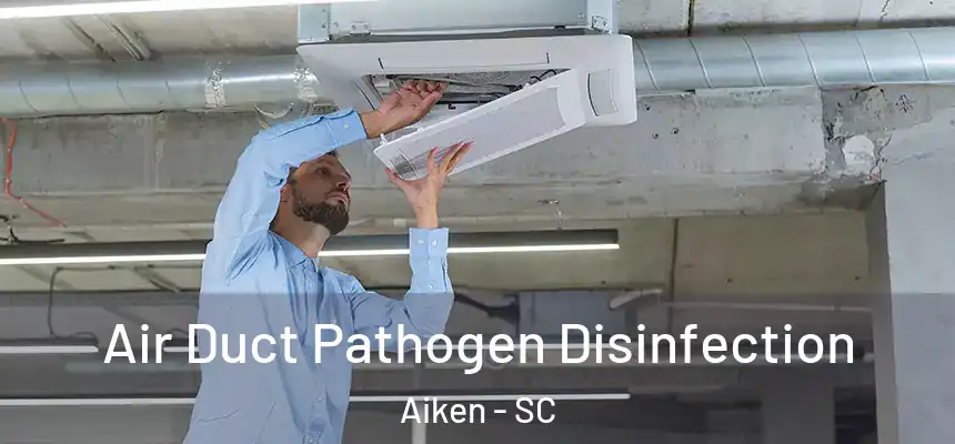  Air Duct Pathogen Disinfection Aiken - SC