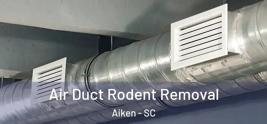 Air Duct Rodent Removal Aiken - SC