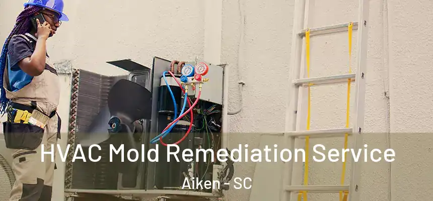  HVAC Mold Remediation Service Aiken - SC