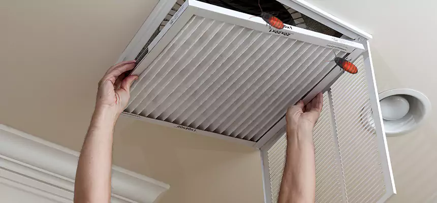 Preventive Cockroach-Proofing for Ducts in Aiken