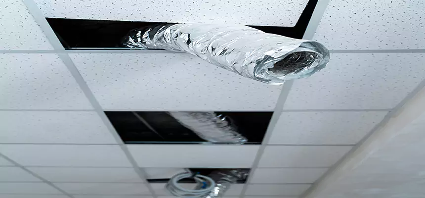 Our Air Duct Pet Hair Removal Services in Aiken, SC