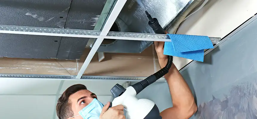 Our Air Duct Rodent Removal Services in Aiken, SC