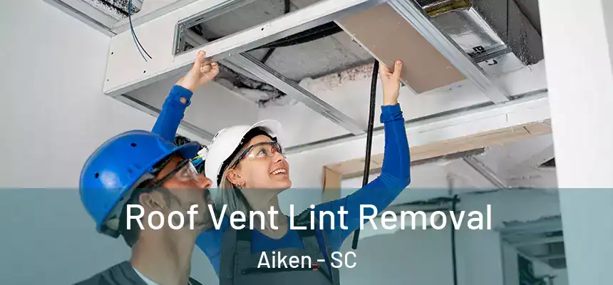  Roof Vent Lint Removal Aiken - SC