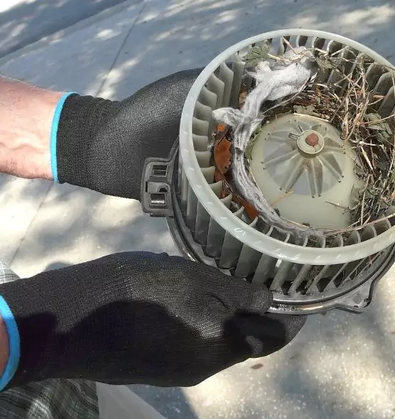 About Air Duct Mice Removal in Aiken, SC