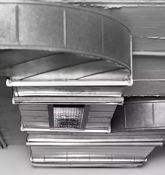 Professional Air Duct Pest Removal in Aiken, SC