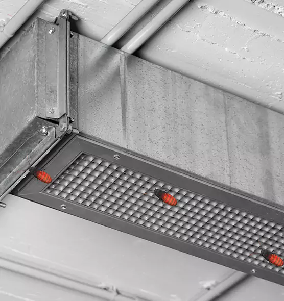 Affordable Insect Removal from Air Ducts in Aiken, SC