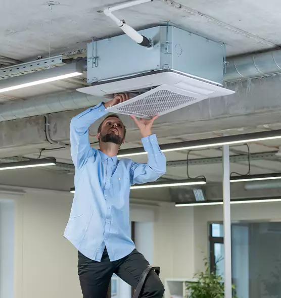 Advanced Rodent Droppings In Vents in Aiken, SC