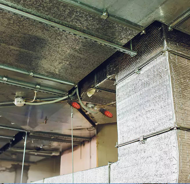 Why Homeowners & Businesses Trust Us in Aiken, SC?