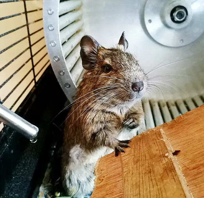 Why Homeowners & Businesses Trust Us Aiken, SC