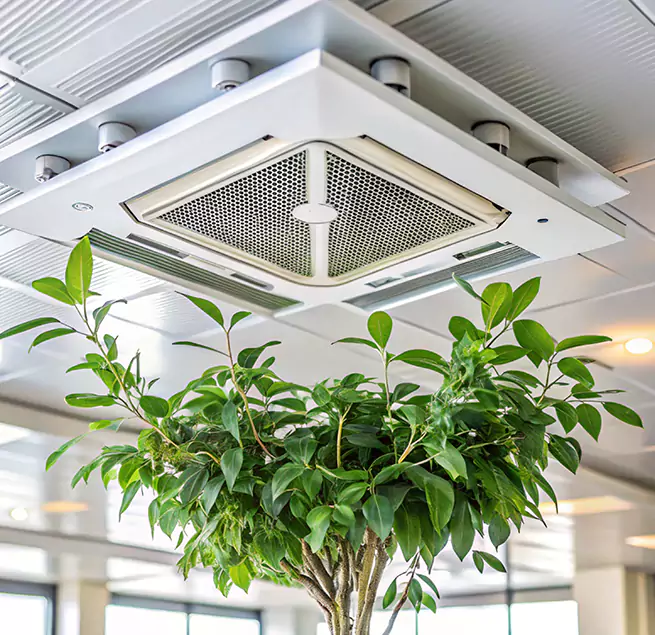 Why Homeowners & Businesses Trust Us in Aiken, SC?