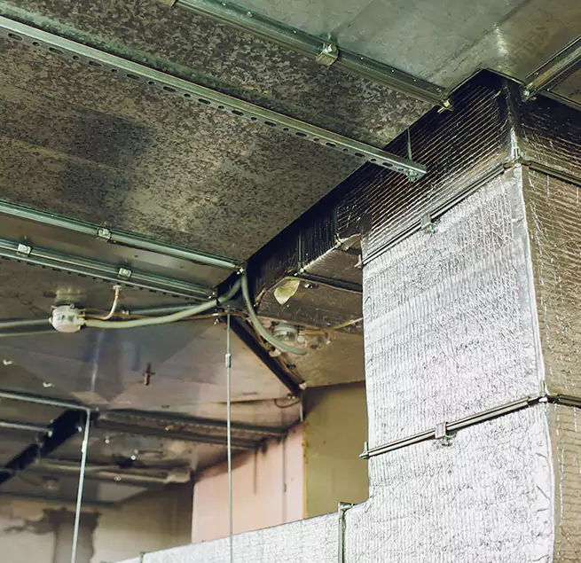 Why Homeowners & Businesses Trust Us in Aiken, SC?